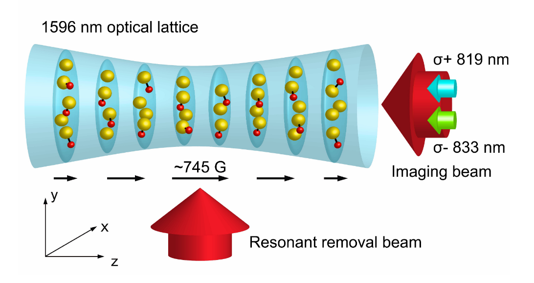 Geometry of ultracold atom/molecule experiment