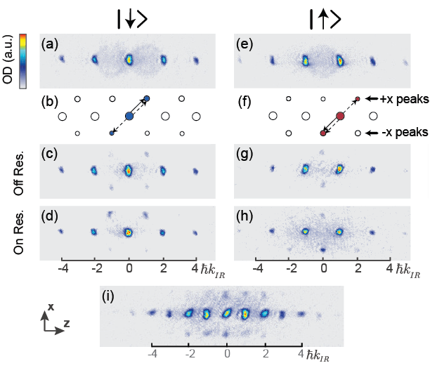 Signatures of spin-orbit coupling