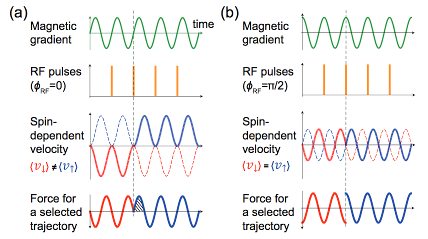 Timing sequence for magnetic shaking experiment